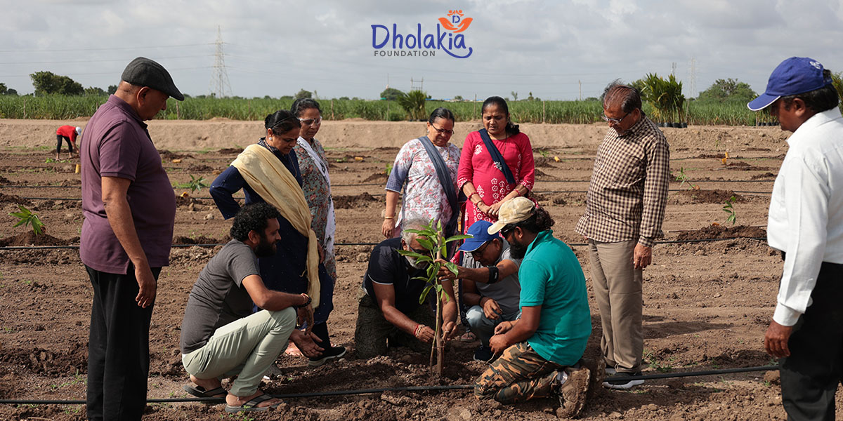 From Tiny Seeds to Mighty Trees: Dholakia Foundation’s Story of Planting a Greener Future